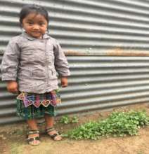 The coriander has been growing very well