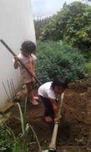 Preparing the land for sowing