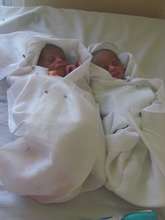 Baby twins in the unit