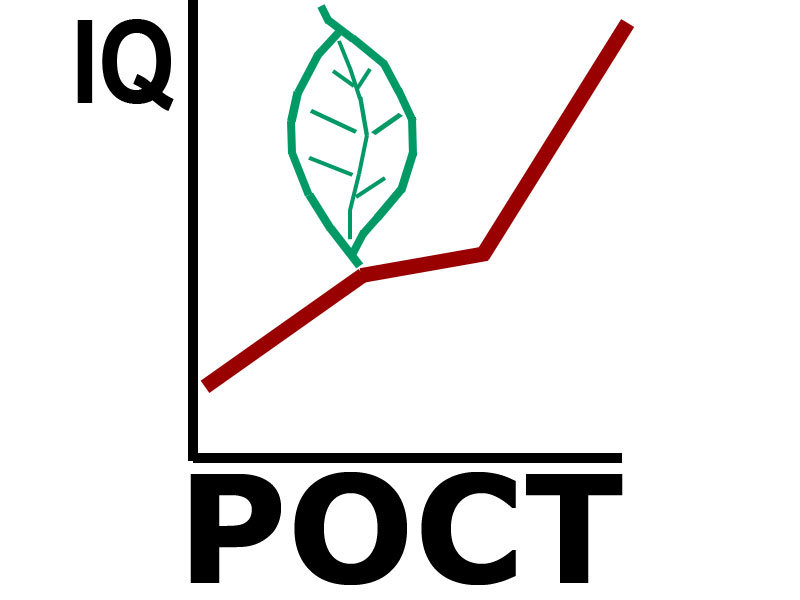 Фонд образ жизни