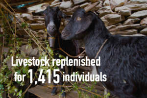HHC restored livestock and livelihood to victims