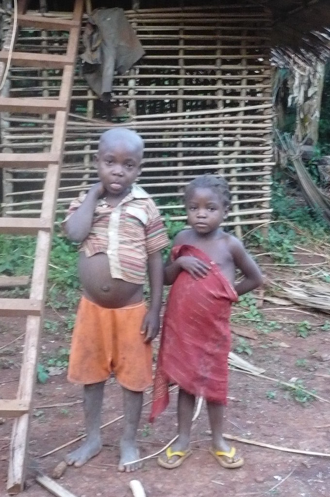Bring Schooling to 200 pygmy children in Cameroon