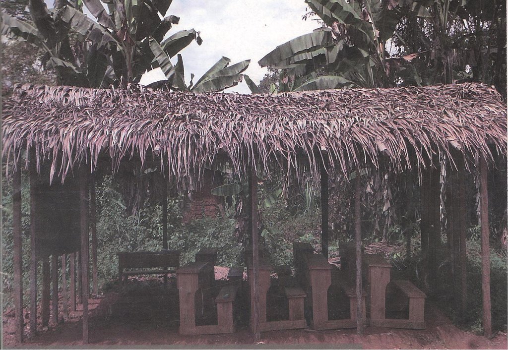 Bring Schooling to 200 pygmy children in Cameroon