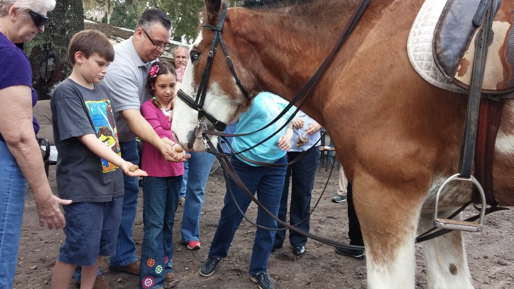 Giving some love to the big girl!
