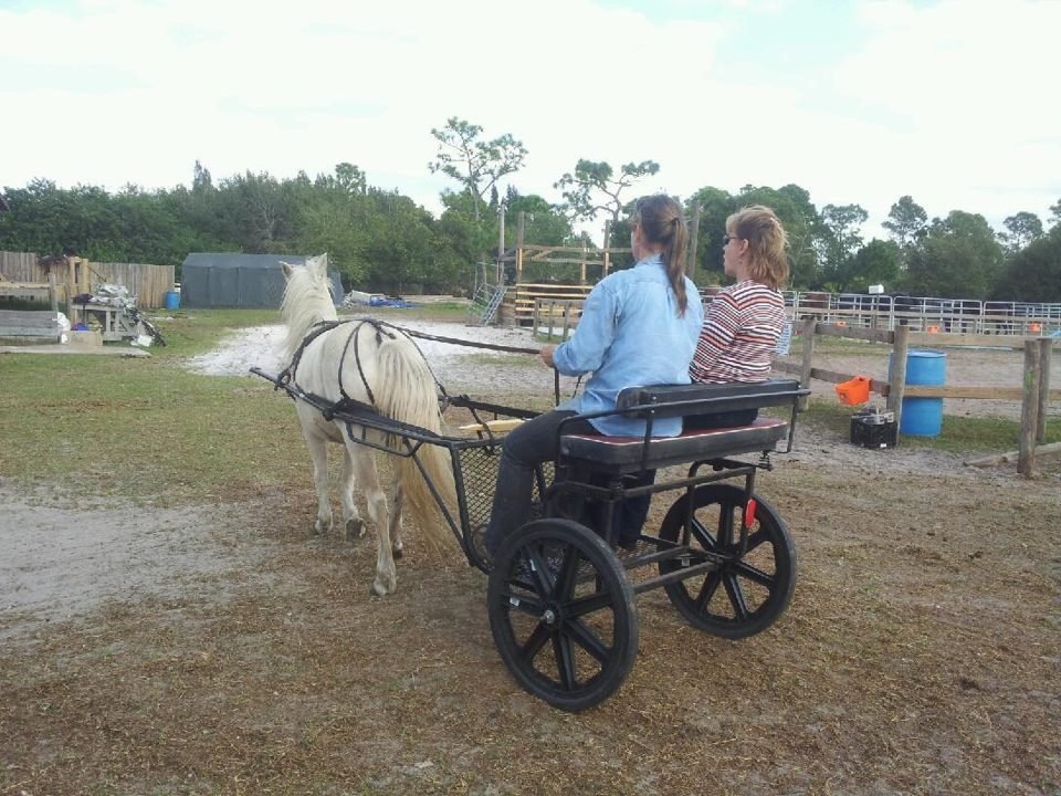 Popcorn doing well in a driving lesson