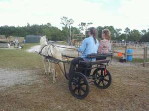 Popcorn doing well in a driving lesson