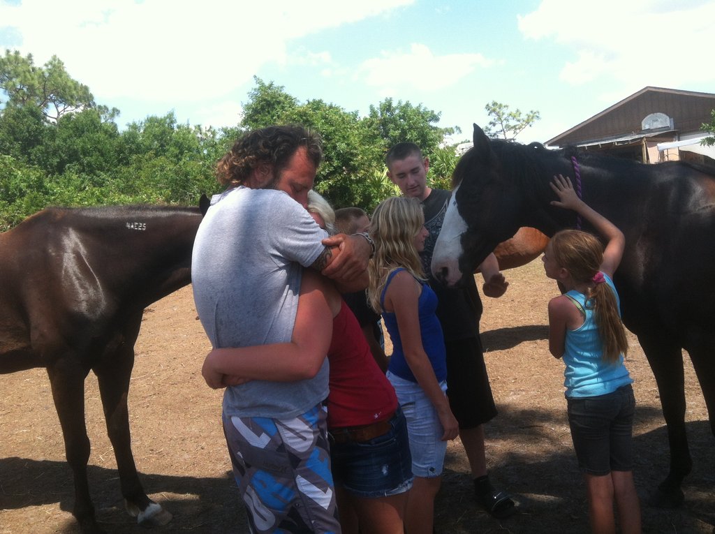 Help 5 Rescued Horses Become Therapy Animals