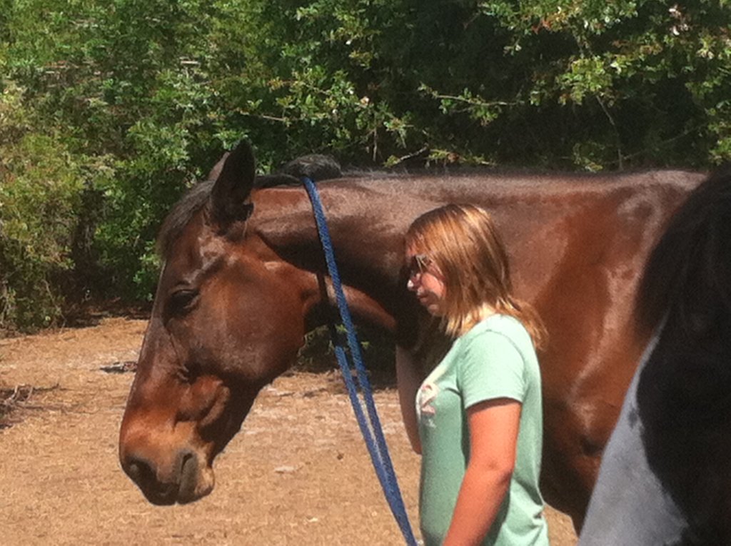 Help 5 Rescued Horses Become Therapy Animals