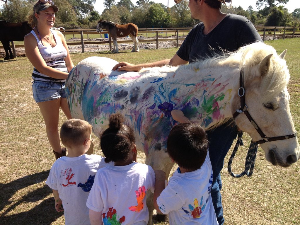 Help 5 Rescued Horses Become Therapy Animals