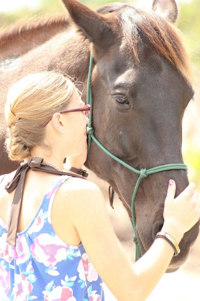 Help 5 Rescued Horses Become Therapy Animals