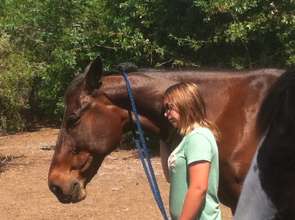 Sharing a moment with a rehabilitated race horse