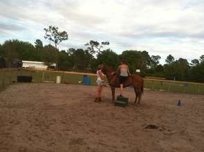 RazzleDazzle in training