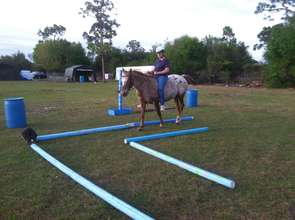 Glenda and Happy on the obstacle course