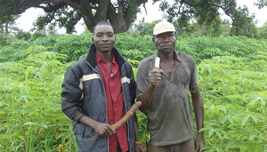 Ghislain - Administrator, and manioc cultivator