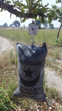 Bag of carbonized rice-straw being weighed