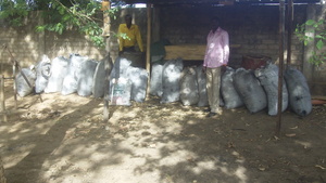 Bio-char in Moundou