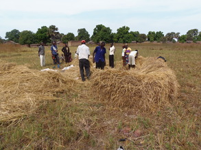 Rice cultivators in Nya, look at all that straw...
