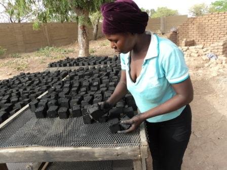 Agro-Charcoal in Chad as Vocational Enterprises