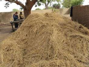 Rice straw ready for the kiln