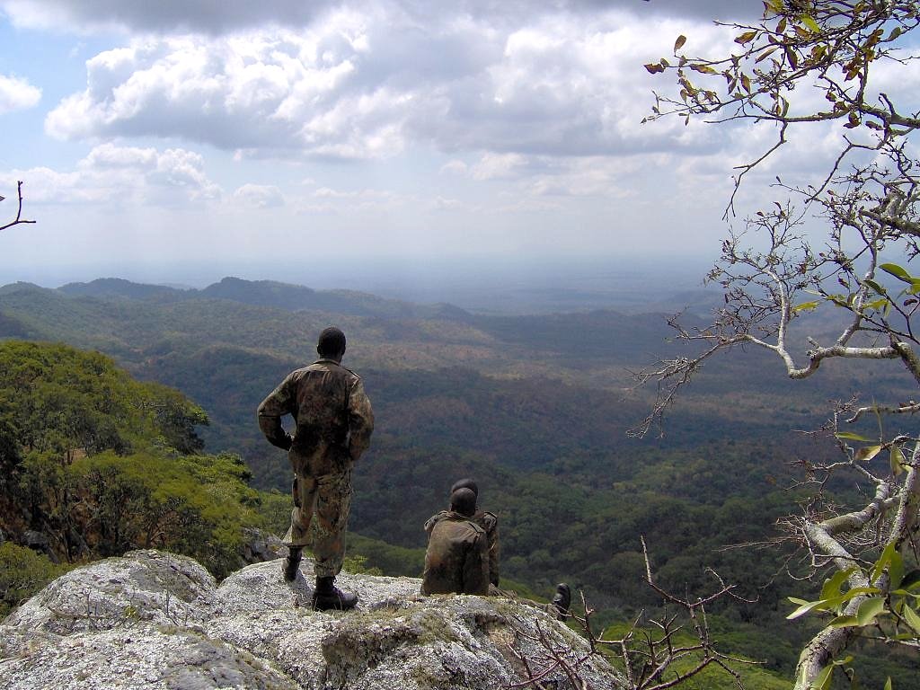 Save elephants in Malawi