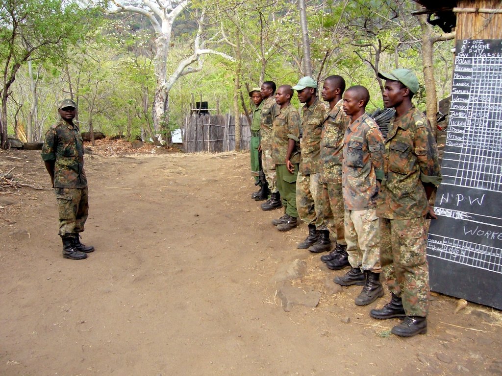 Save elephants in Malawi