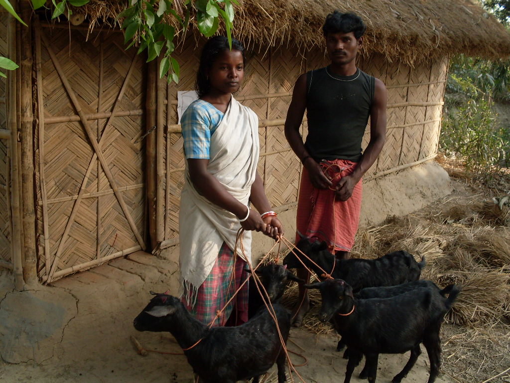 Help Indian Rural Women to be Self-Employed