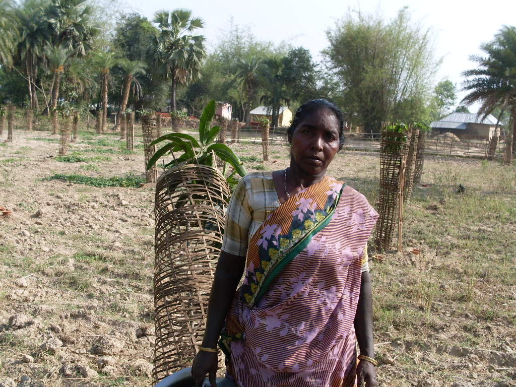 Help Indian Rural Women to be Self-Employed