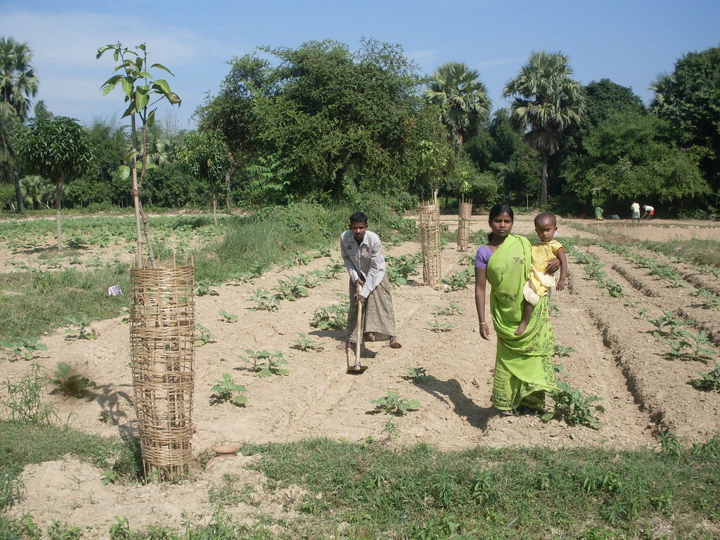 Help Indian Rural Women to be Self-Employed