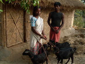 Goat Rearing unit