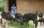 Help Indian Rural Women to be Self-Employed