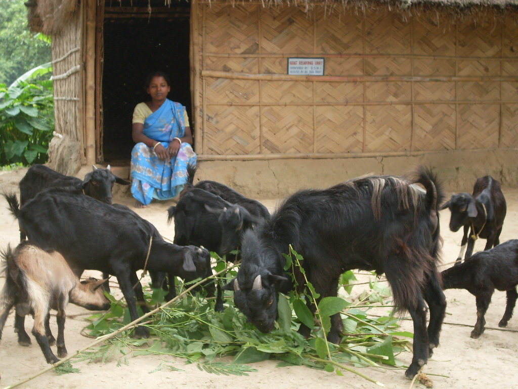 Help Indian Rural Women to be Self-Employed