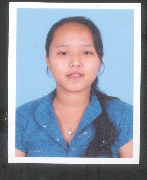 The Tibet Fund Professional Scholarship Program