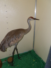During Rehab
