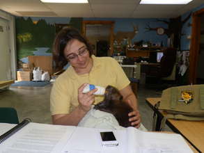 Our Vet Jessica feeding Infant Beaver
