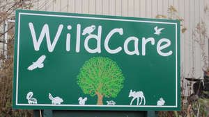 Help Give Wildlife a Second Chance