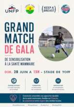 Soccer Festival Poster