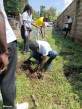 Planting trees after trash clean-up