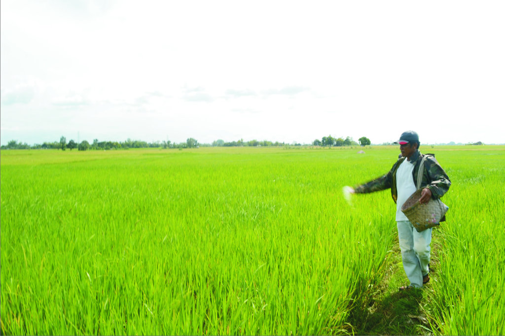 Over 1000 farmers benefited in Negros Island