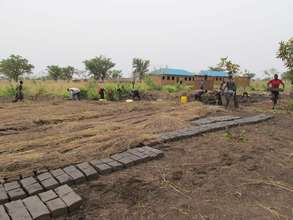 Molded bricks drying under straw