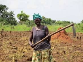 Alimocan hand hoeing in the field in Agwata Uganda