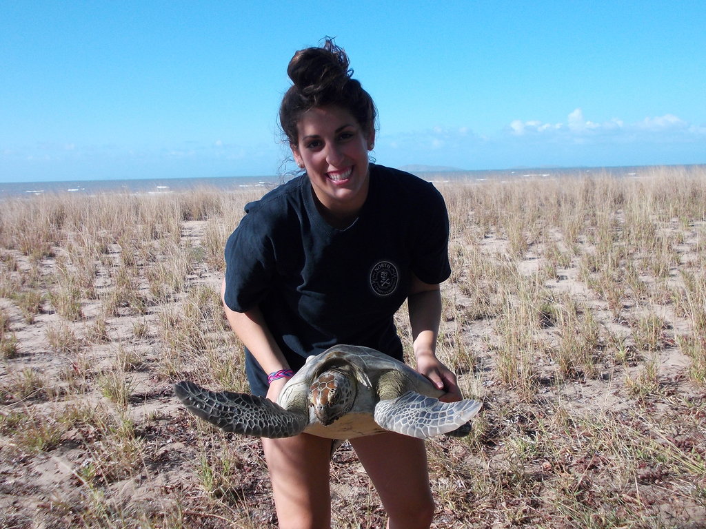 Save sea turtles on the Great Barrier Reef