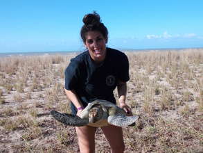 STF intern Molly with green sea turtle
