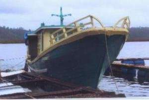 Wooden Mini Boat