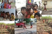 Pediatric Services in Tribal Areas of Gujarat