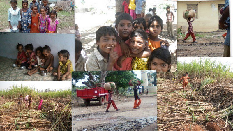 Pediatric Services in Tribal Areas of Gujarat