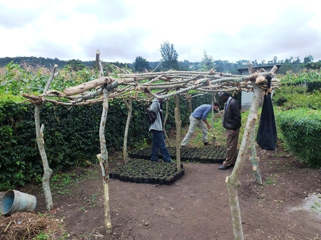 Provide clearn-safe water to 5000 Ngyeku villagers