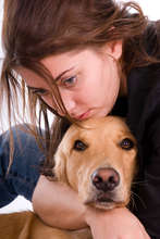 Puppy Mills = Puppy Cruelty (closed campaign)