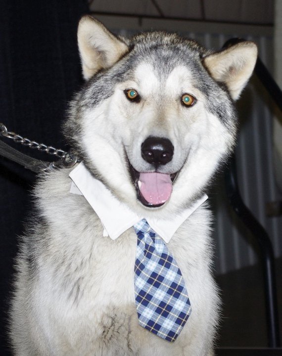 River is dressed to Celebrate!