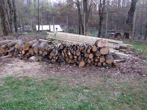 Wood we cleared for Isabelle and posts bought