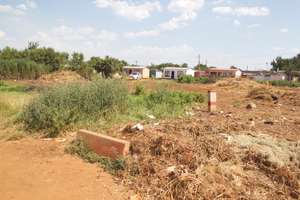 New Land - Photo #1